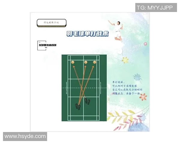 深入分析杭州羽毛球队控制打法的战术特点与应用技巧